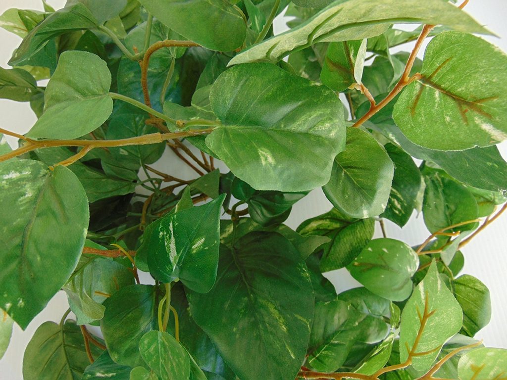 Misty Gray Textured Tuscany Hidden Litter Cat Box Lemon Leaf Ivy Bush