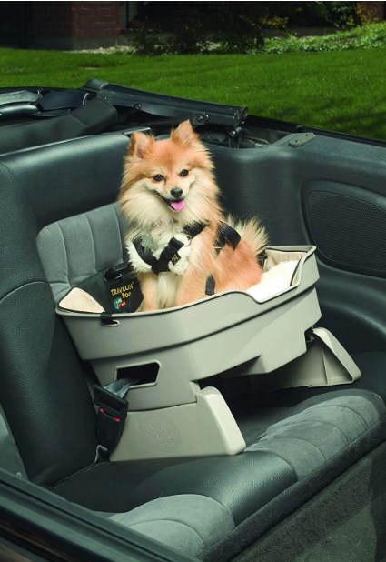 travelin dog seat